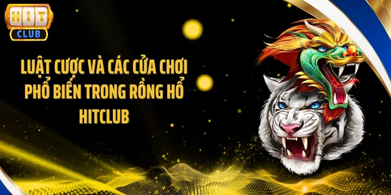 Luật cược và các cửa chơi phổ biến trong Rồng Hổ Hitclub